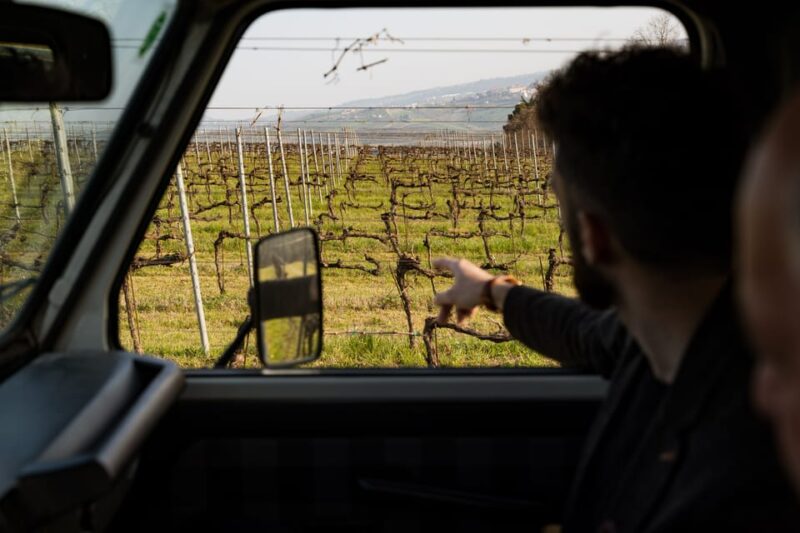Abruzzo: Vineyard Jeep Tour with Tastings - Key Points