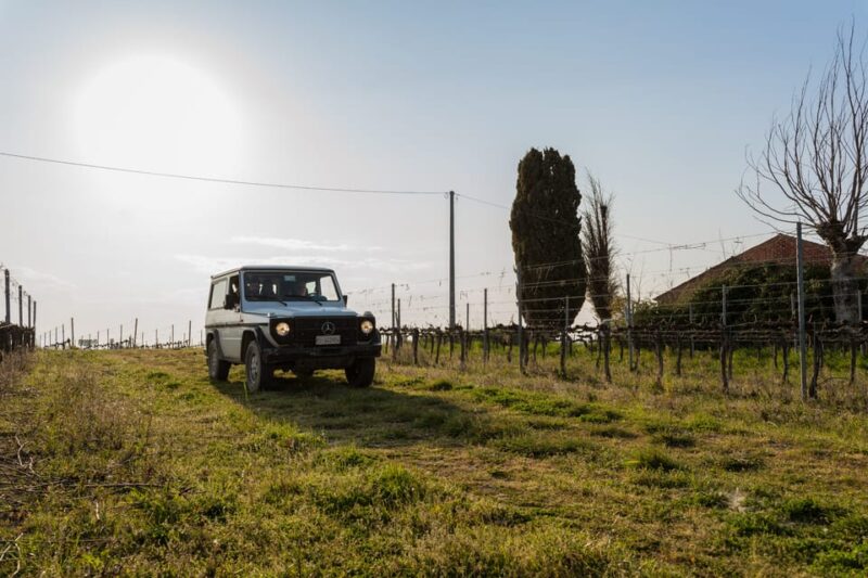 Abruzzo: Vineyard Jeep Tour with Tastings - Discover the Vines in the Teramo Hills by Jeep