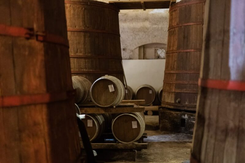 Abruzzo: Vineyard Jeep Tour with Tastings - The Scenic Route: From Vineyards to the Cellar
