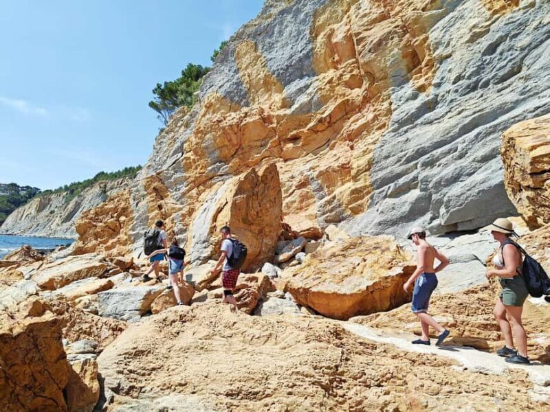 Absolut Calanques de Marseille. Canyons, fisher village and turquoise beach - Exploring the Heart of Calanques National Park