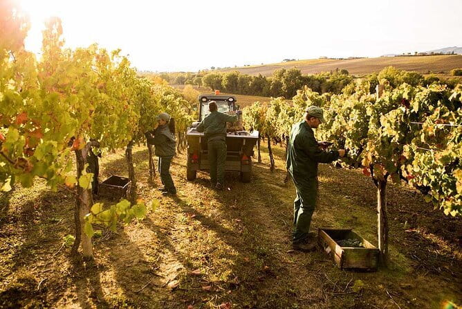 Academia Gallery Live Guided Tour with Skip the Line Tickets - Comparing This Tour to Similar Options