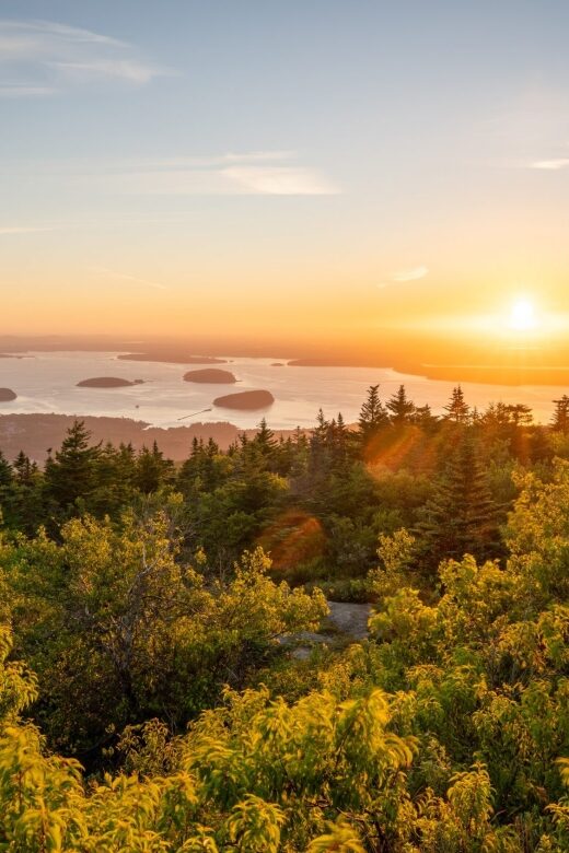 Acadia Full Day Small Group Tour & Hike - Who Will Most Enjoy This Tour?