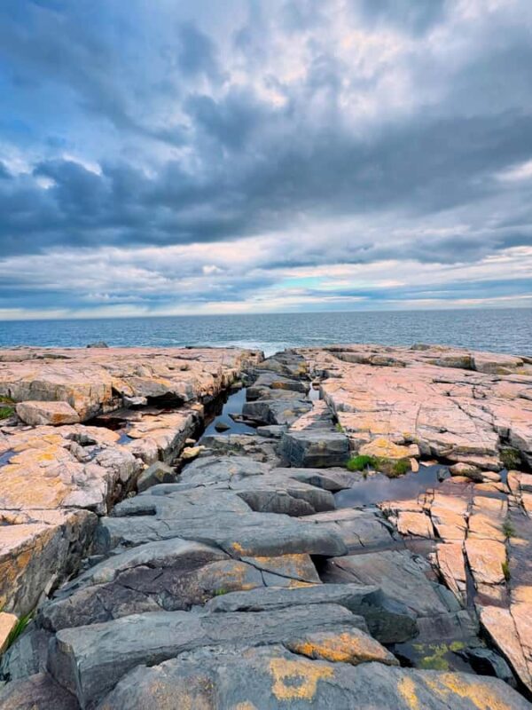 Acadia & Mount Desert Island: Private Full-Day Tour - Cadillac Mountain and Scenic Views