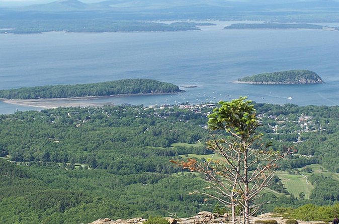 Acadia National Park & Boston 3-Day Tour from NYC | Kids 50% Off - Who Will Love This Tour?