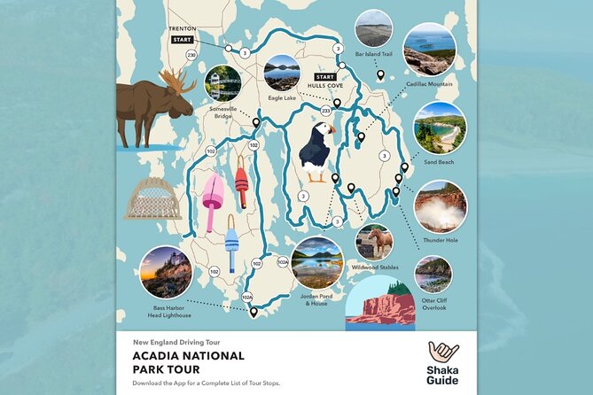 Acadia National Park Self-Guided Audio Tour - The Spectacular Views from Cadillac Mountain and Otter Point