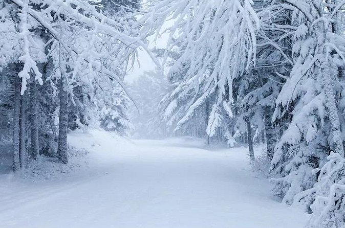 Acadia National Park Winter Wonderland Private Driving Tour - Logistics: Ease of Planning and Comfort