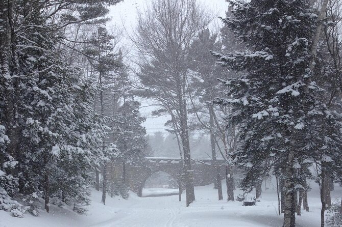 Acadia National Park Winter Wonderland Private Driving Tour - What Sets This Tour Apart from Others