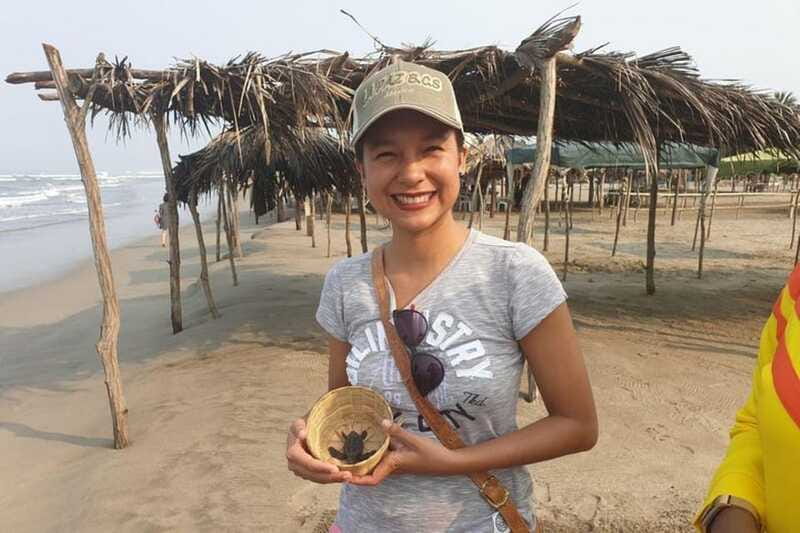 -Acapulco: 6hr City Tour & Turtle Release & High Diver Show - Practical Tips for the Tour Day