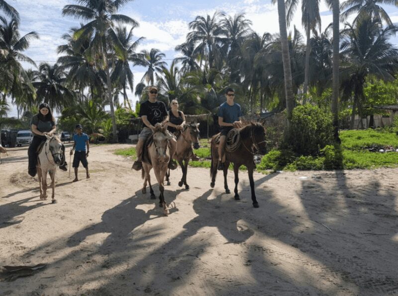 Acapulco: Bonfil Beach Horseback Riding Experience - Physical Requirements and Accessibility