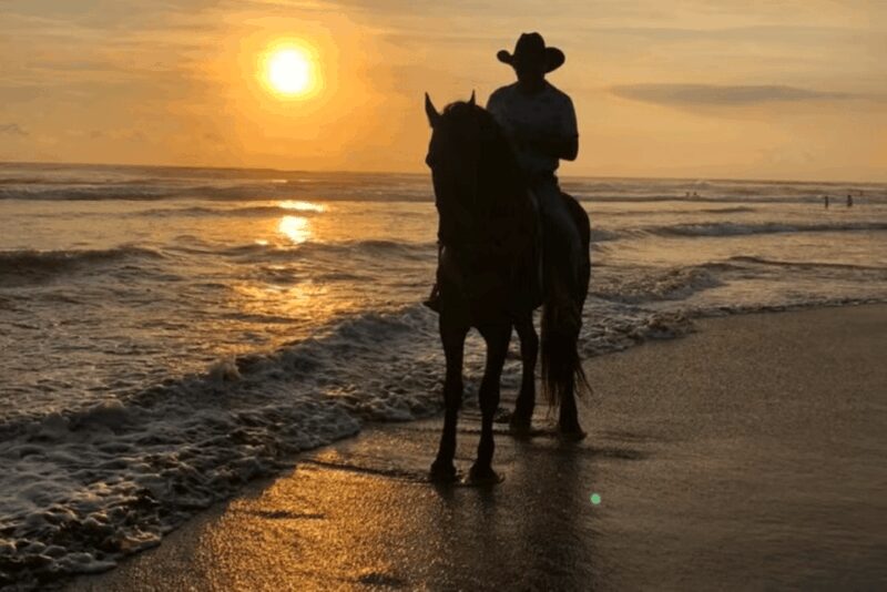 Acapulco: Bonfil Beach Horseback Riding Experience - Booking Flexibility and Cancellation Policy