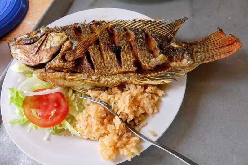 -Acapulco: Coyuca Lagoon Boat Ride &Baby Turtle Release Tour - What to Know Before Booking This Tour