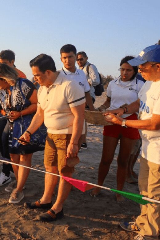 Acapulco: Ecological Tour - Visiting the Turtle Camp and Conservation Efforts