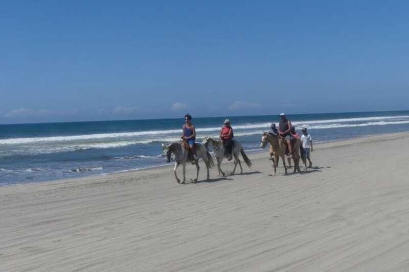 -Acapulco: Horseback Ride Exp. Crocodile Farm, and City Tour - Lunch at La Cabaña: A Beachside Dining Experience