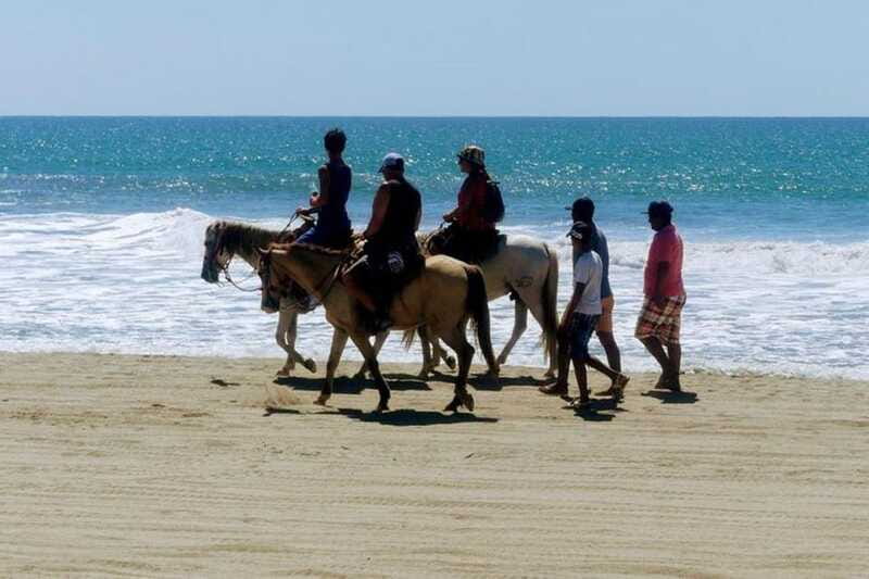 -Acapulco: Horseback Ride Exp. Crocodile Farm, and City Tour - Transportation and Practical Details