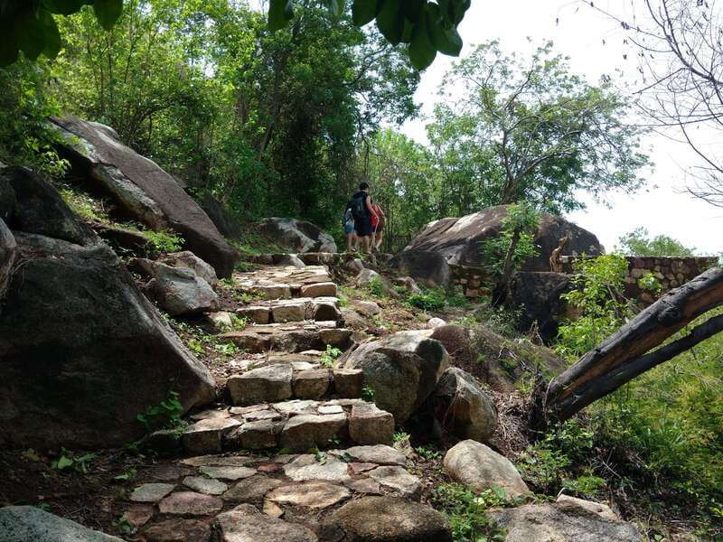 -Acapulco: Palma Sola Petroglyphs Experience Market + Lunch - Physical Requirements and Accessibility