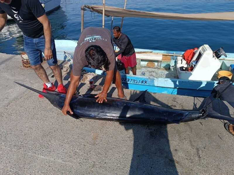 Acapulco: Private Fishing Experience - Who Would Enjoy This Private Fishing Trip in Acapulco?