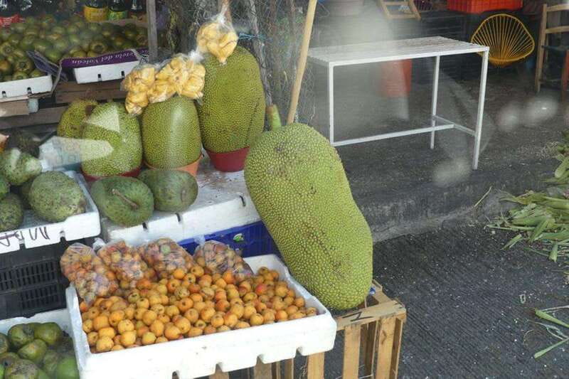 -Acapulco: Private Tour with Lunch and Hotel Pickup - Discovering Acapulco’s Local Markets and Witchcraft Market