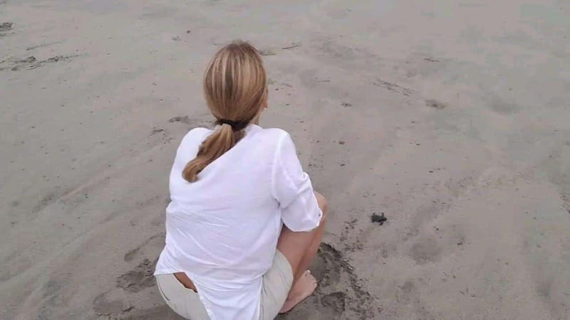 Acapulco: Turtle Release Experience - Key Points