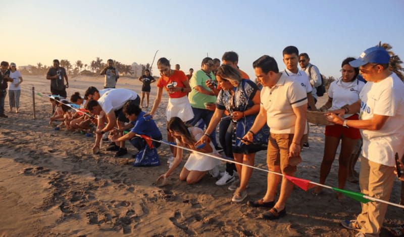 Acapulco: Turtle Release Experience - Practical Details: Inclusions and Pricing