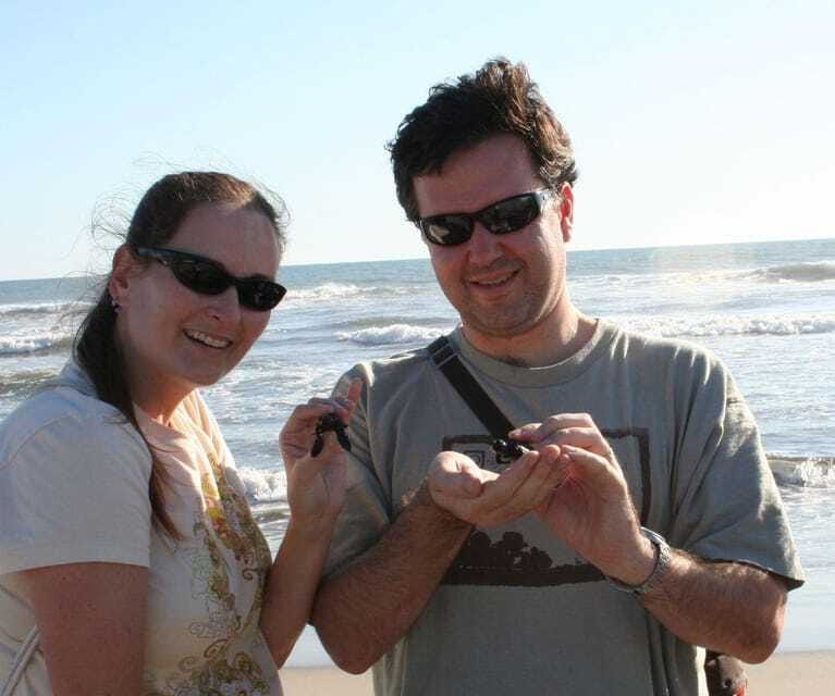 Acapulco: Turtle Release Experience - The Experience Provider: ROYALE TOURS ACAPULCO