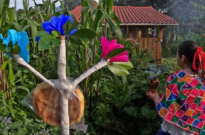 Acaxochitlán Local Community and Traditions Tour from Mexico - Learning Traditional Textile Techniques on Back Strap Loops