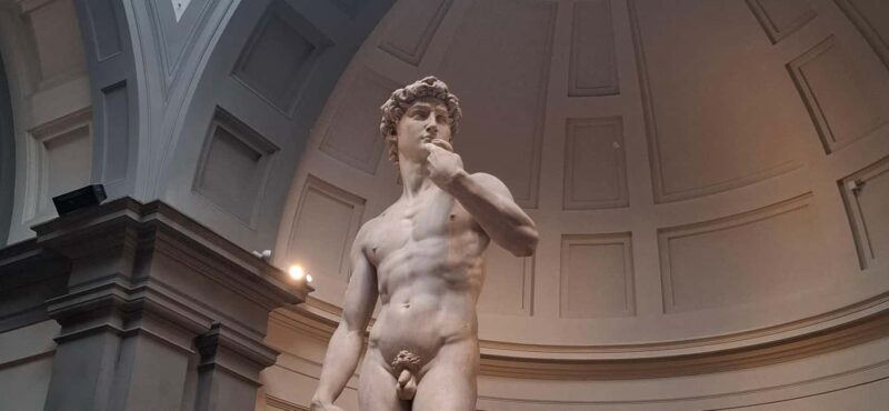 Accademia Timed-entry Ticket & Mobile APP Guided Tour - Michelangelo’s David and Renaissance Masterpieces