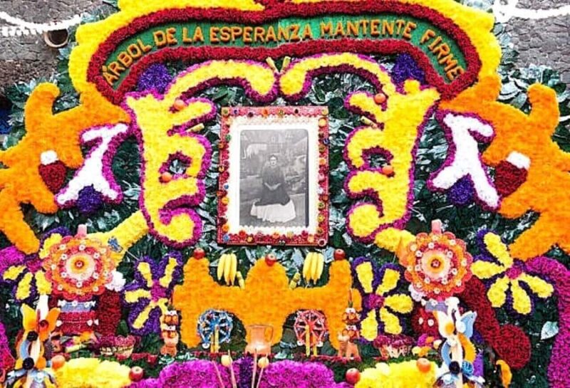 Access to the Frida Kahlo Museum or Casa Kahlo Museum with a Digital Guide - Discover Frida Kahlo’s World with Skip-the-Line Access and a Digital Guide