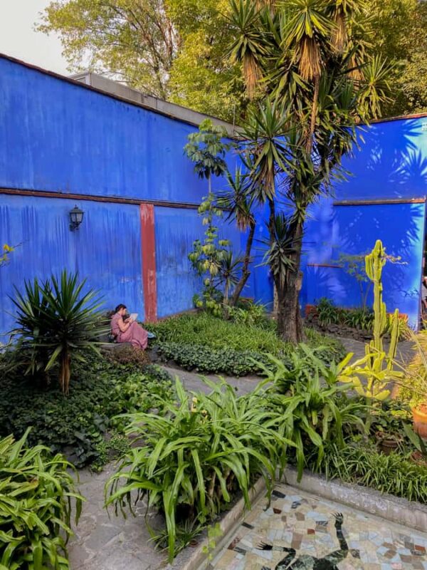 Access to the Frida Kahlo Museum or Casa Kahlo Museum with a Digital Guide - The Fresh Perspective at Casa Kahlo (Casa Roja)