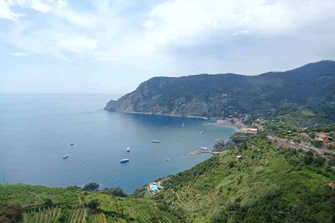 Accessible Cinque Terre and Pisa Private Excursion from Livorno - Key Points