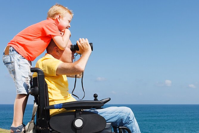 Accessible Tour In Athens, 3 Hours Athens Panorama Shore Excursion - Efficient Pickup and Transportation in Athens and Piraeus