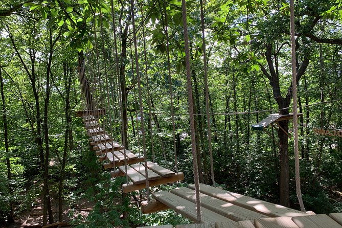 Accrobranches course in the middle of the forest in Saint-Germain-en-Laye - Discover the Unique Accrobranches Course in Saint-Germain-en-Laye Forest