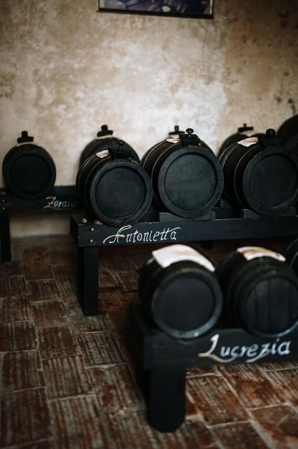 Acetaia Classica: Balsamic Vinegar Factory Tour & Tasting - Key Points