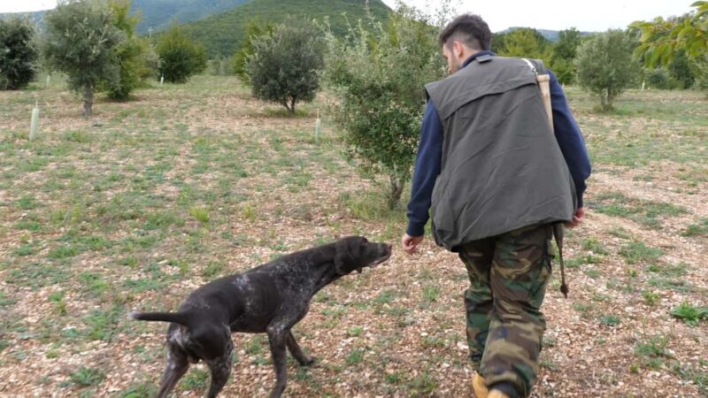 Acqualagna: Discovering the Truffle From the Forest to the Table - Tasting Local Truffle Products in the Shop