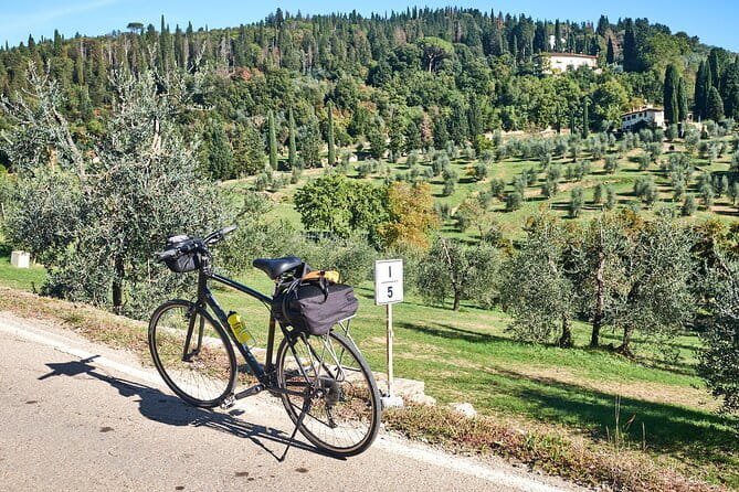 Active Full Day Tuscan Bike Tour With Wine Tasting and Lunch - Cycling through the Chianti Hills and Vineyards
