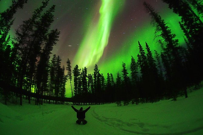 Active Winter Adventure in Yukon | 5 days - Key Points