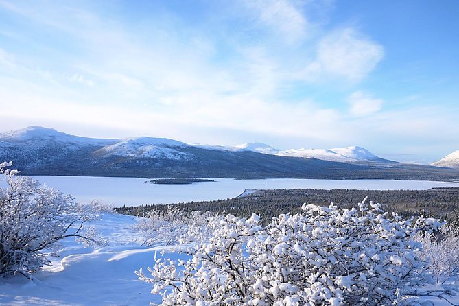 Active Winter Adventure in Yukon | 5 days - Snowmobiling Across Yukon’s Winter Trails