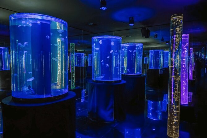 Acuario Sealand Guadalajara Admission Ticket - Duration and Pacing of the Aquarium Visit