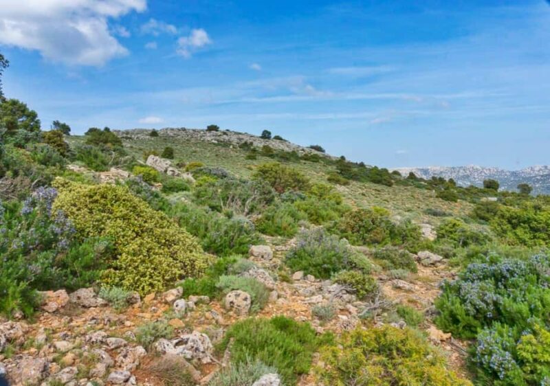 Adarre: Trek to the wild heart of the Supramonte - Discover the Heart of Supramonte on a Short But Impactful Trek