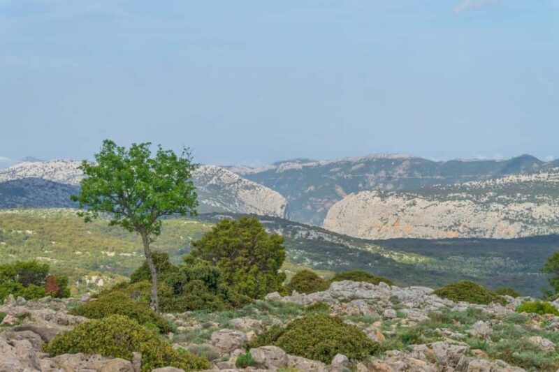 Adarre: Trek to the wild heart of the Supramonte - Practical Tips for the Trek