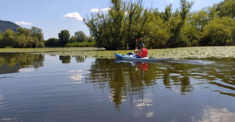 Adda River: Half day Kayak Trip - Key Points