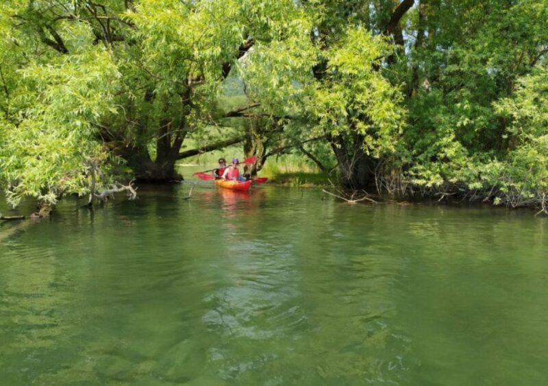 Adda River: Half day Kayak Trip - The Guided Experience with Expert Knowledge