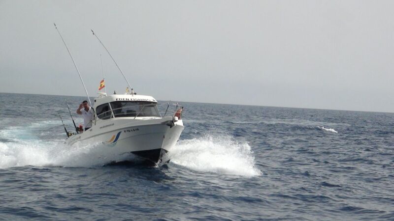 Adeje: 3.5Hour Professional Fishing Experience - Discover the 3.5-Hour Professional Fishing Adventure in Adeje