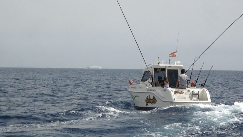 Adeje: 3.5Hour Professional Fishing Experience - Key Points