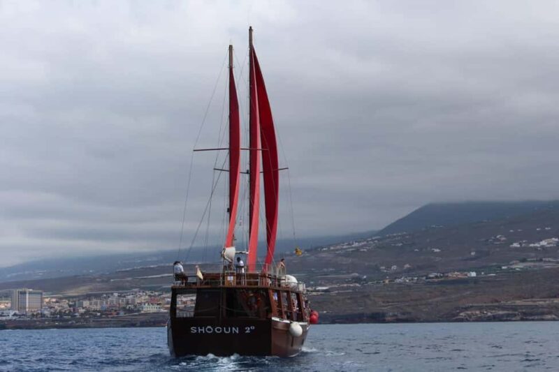 Adeje Classic Schooner: Whales, Lunch & Los Gigantes Cliffs - Comparing This Tour to Other Tenerife Marine Experiences
