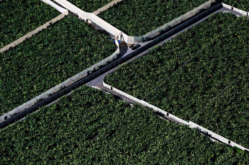 Adeje: Scenic Tenerife Helicopter Flight - Practical Details: Booking, Group Size, and Conditions