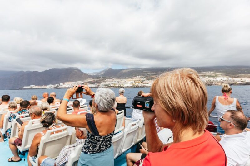 Adeje: Whale and Dolphin Watching Cruise with Lunch and Swim - Practical Tips for a Smooth Trip