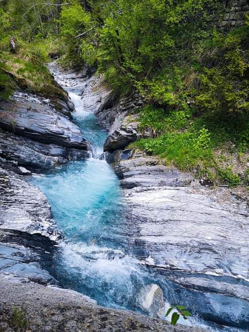 Adelboden: Countryside and Alpine Sightseeing Tour - Sampling Local Delicacies During a Mountain Picnic