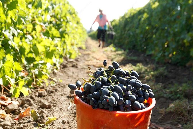 Adjarian Mountains Waterfalls Wine Tour Best views from Batumi Kobuleti - The Waterfall Makhuntseti and Its Scenic Views