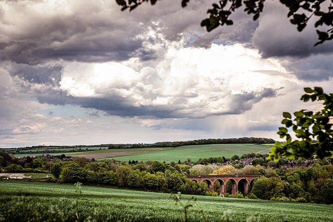 Admission Pass to Eagle Heights in Kent - Supporting a Local Non-Profit Conservation Project