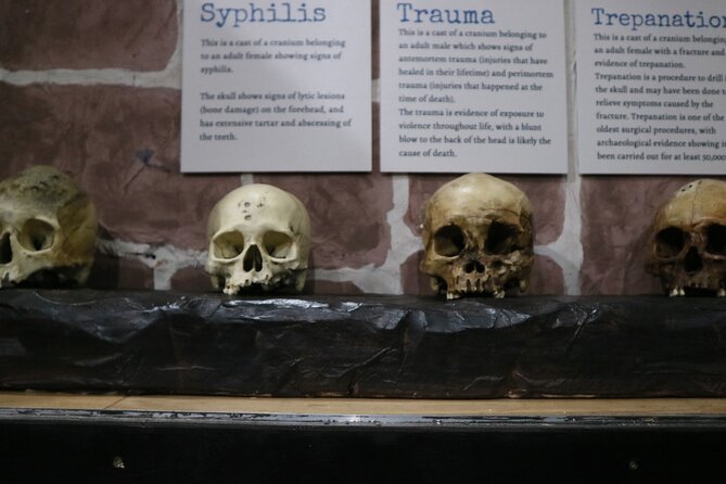 Admission Ticket to Sick To Death in Chester - Final Thoughts on Chester’s Sick to Death Exhibition